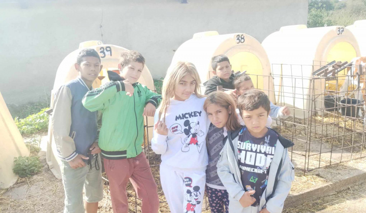 Rozvojový tím v akcii / Svetový deň mlieka v školách - foto