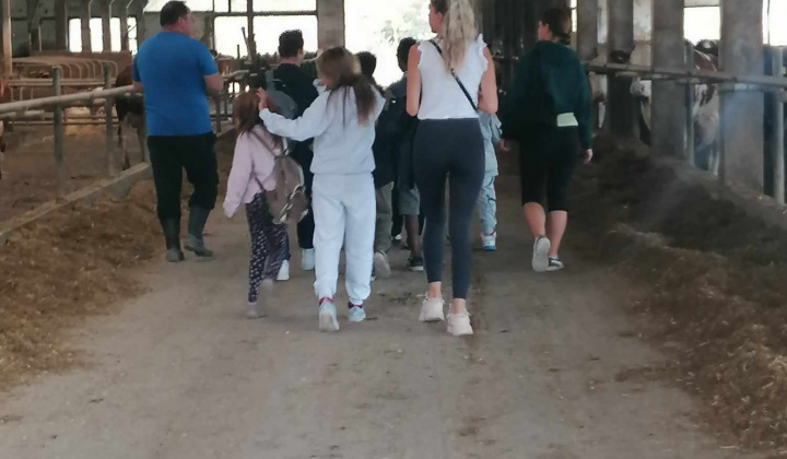 Rozvojový tím v akcii / Svetový deň mlieka v školách - foto